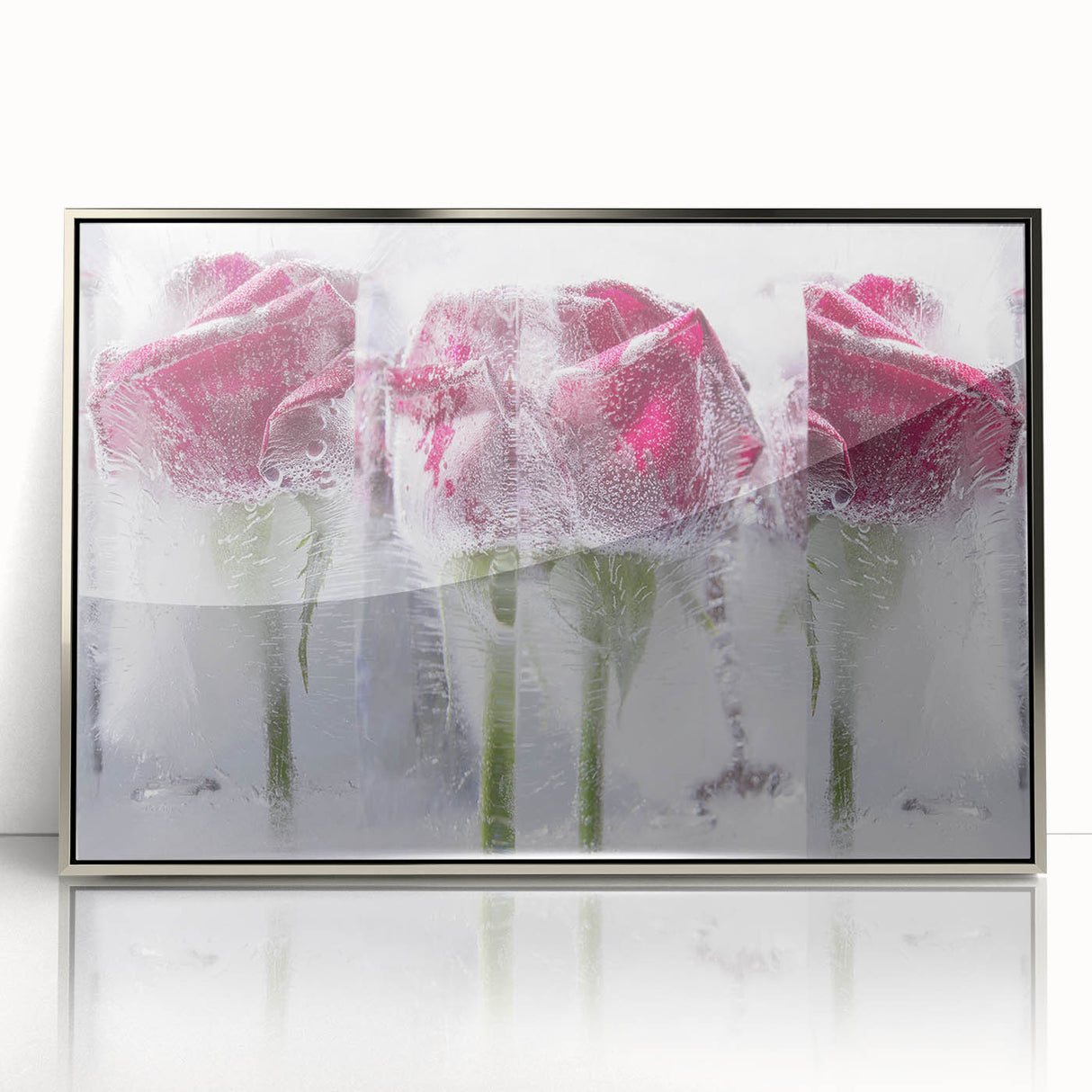 Frozen Roses Elegance - Fine Art Photography Acrylic Prints