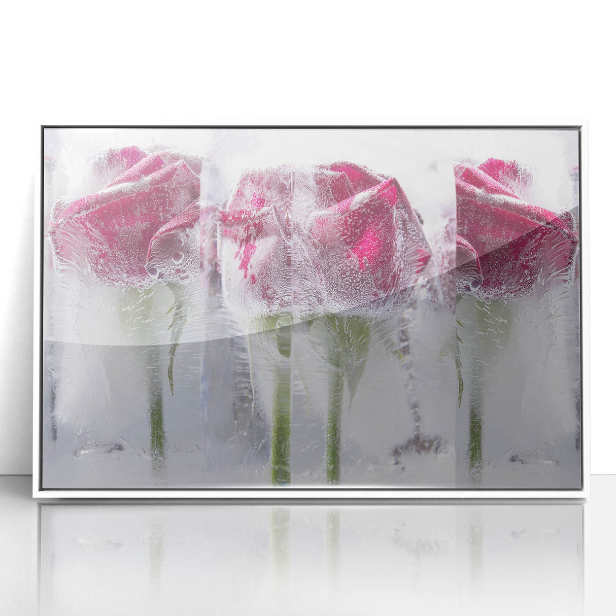 Frozen Roses Elegance - Fine Art Photography Acrylic Prints