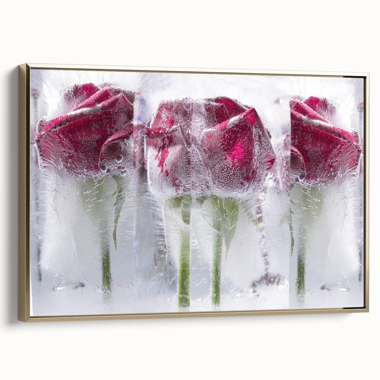 Frozen Roses Elegance - Fine Art Photography Acrylic Prints