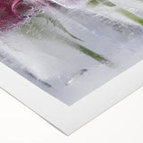 Frozen Roses Elegance - Fine Art Photography Acrylic Prints