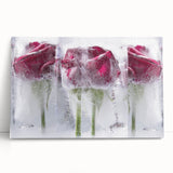 Frozen Roses Elegance - Fine Art Photography Acrylic Prints