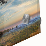 Solitary Coastal Tree - Fine Art Photography Wall Decor