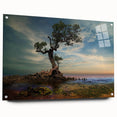 Solitary Coastal Tree - Fine Art Photography Wall Decor