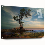 Solitary Coastal Tree - Fine Art Photography Wall Decor