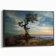Solitary Coastal Tree - Fine Art Photography Wall Decor
