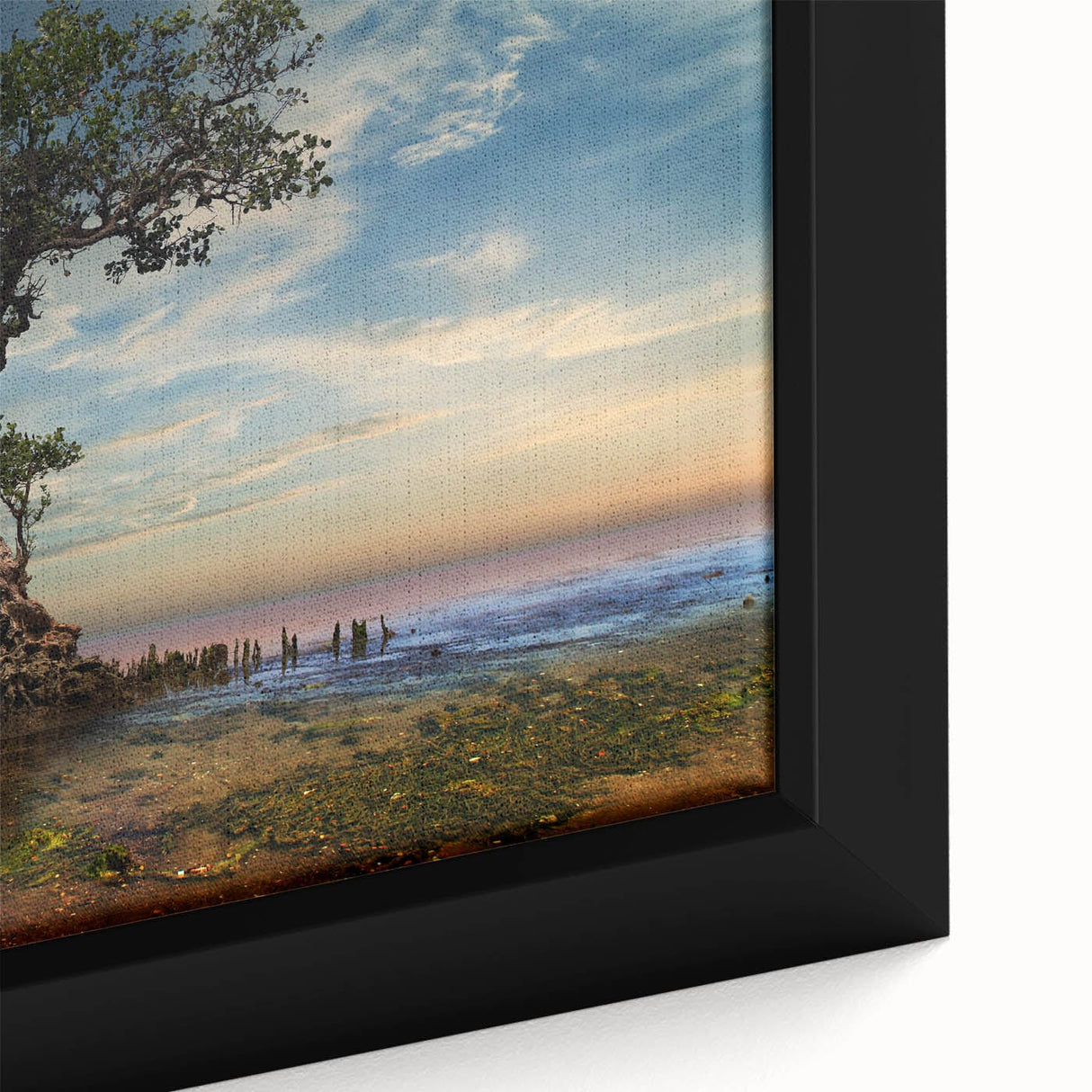Solitary Coastal Tree - Fine Art Photography Wall Decor