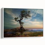 Solitary Coastal Tree - Fine Art Photography Wall Decor