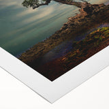 Solitary Coastal Tree - Fine Art Photography Wall Decor