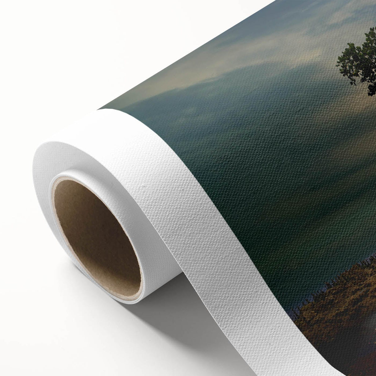 Solitary Coastal Tree - Fine Art Photography Wall Decor