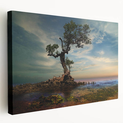 Solitary Coastal Tree - Fine Art Photography Wall Decor