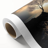 Abstract Minimalist Nature Art – Lone Tree on Rocky Cliff Print