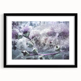 Frozen Botanical Elegance - Fine Art Photography Canvas Prints