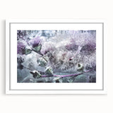 Frozen Botanical Elegance - Fine Art Photography Canvas Prints