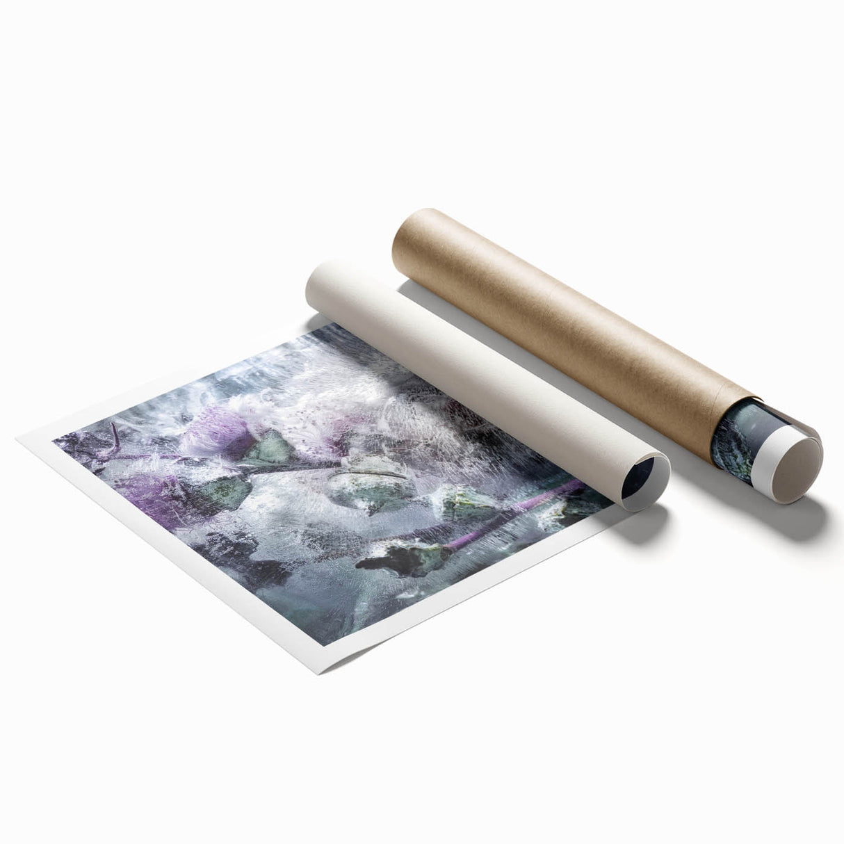 Frozen Botanical Elegance - Fine Art Photography Canvas Prints