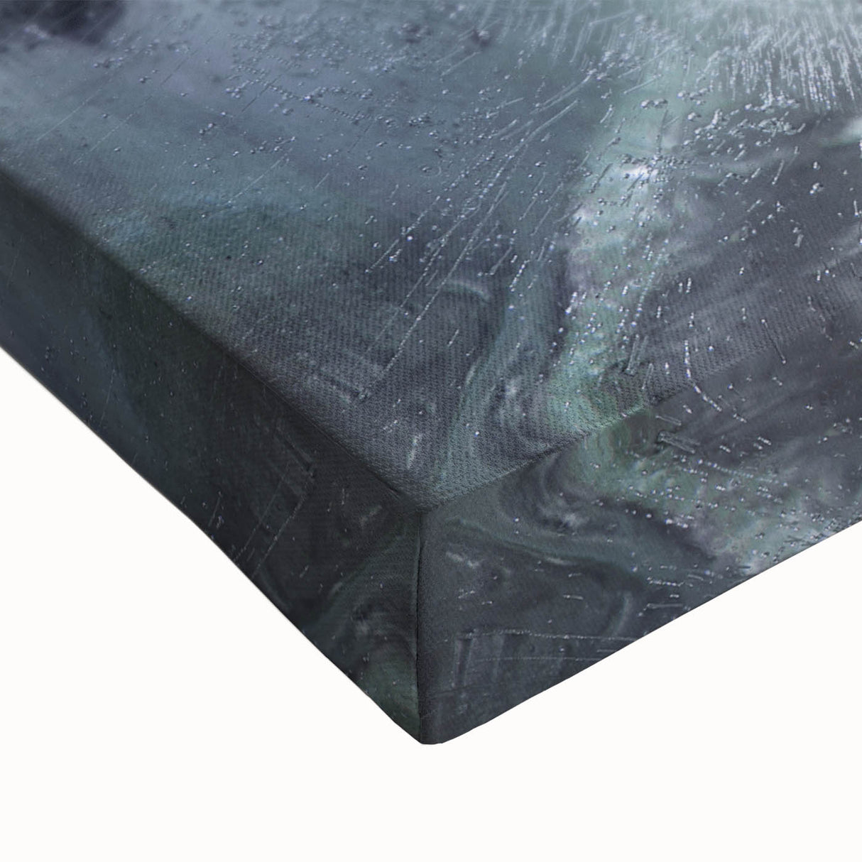 Frozen Botanical Elegance - Fine Art Photography Canvas Prints
