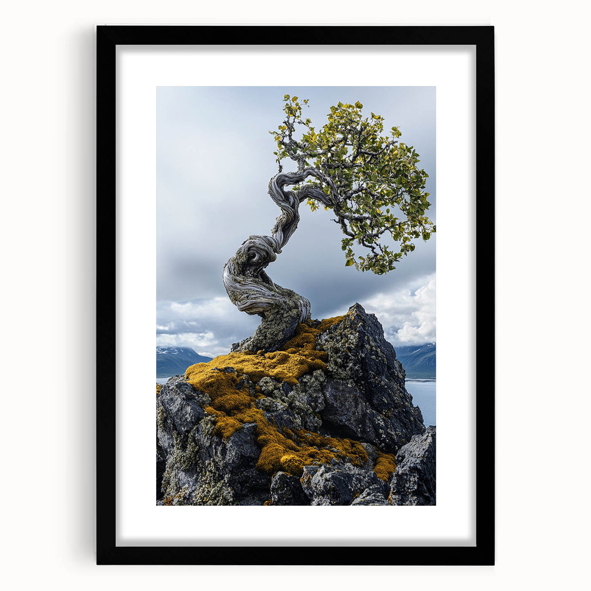 Resilient Bonsai Tree – Forest Art Prints & Nature Wall Art
