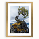 Resilient Bonsai Tree – Forest Art Prints & Nature Wall Art