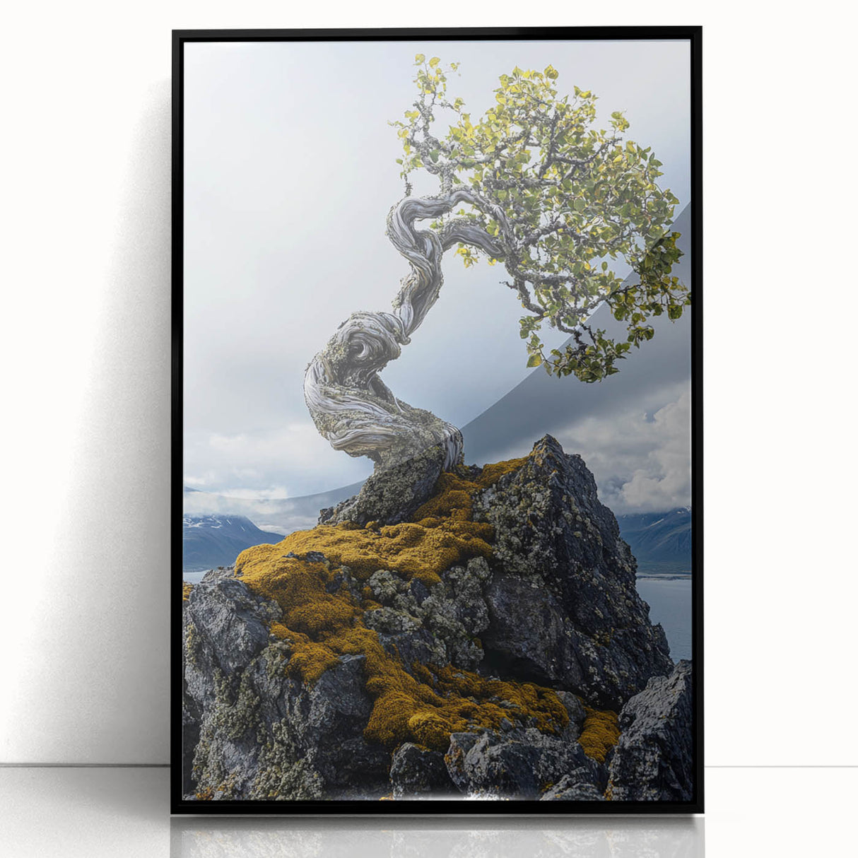 Resilient Bonsai Tree – Forest Art Prints & Nature Wall Art