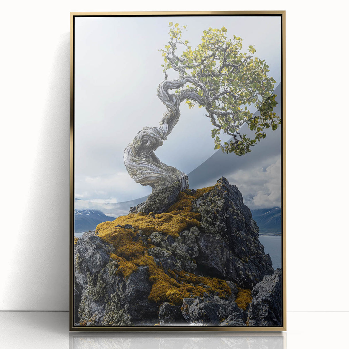 Resilient Bonsai Tree – Forest Art Prints & Nature Wall Art