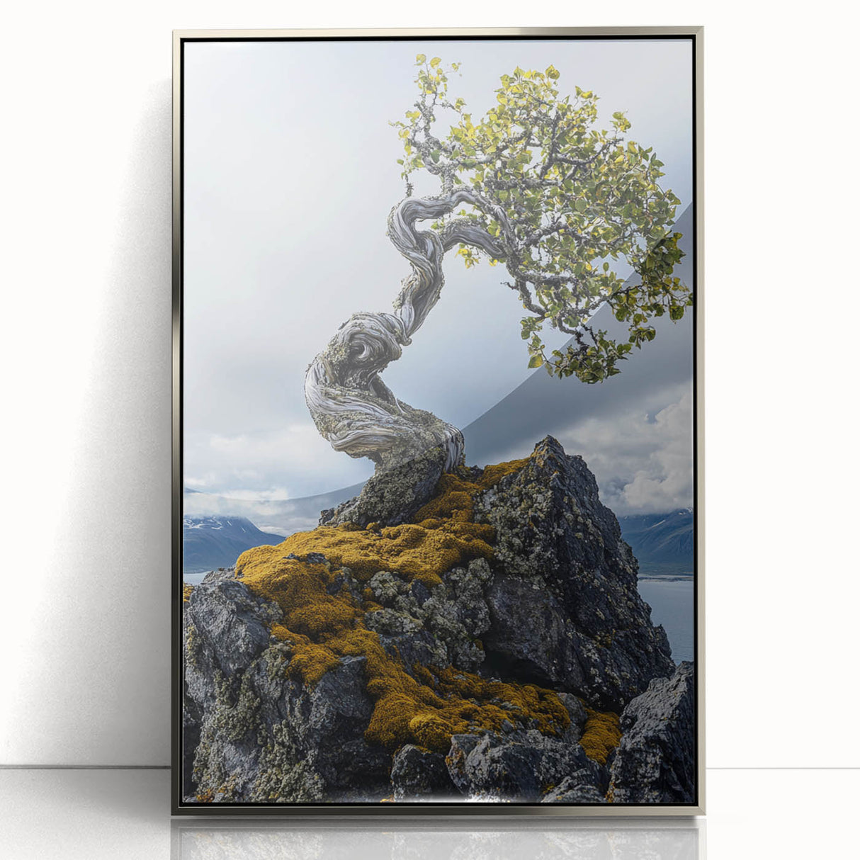Resilient Bonsai Tree – Forest Art Prints & Nature Wall Art