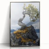 Resilient Bonsai Tree – Forest Art Prints & Nature Wall Art