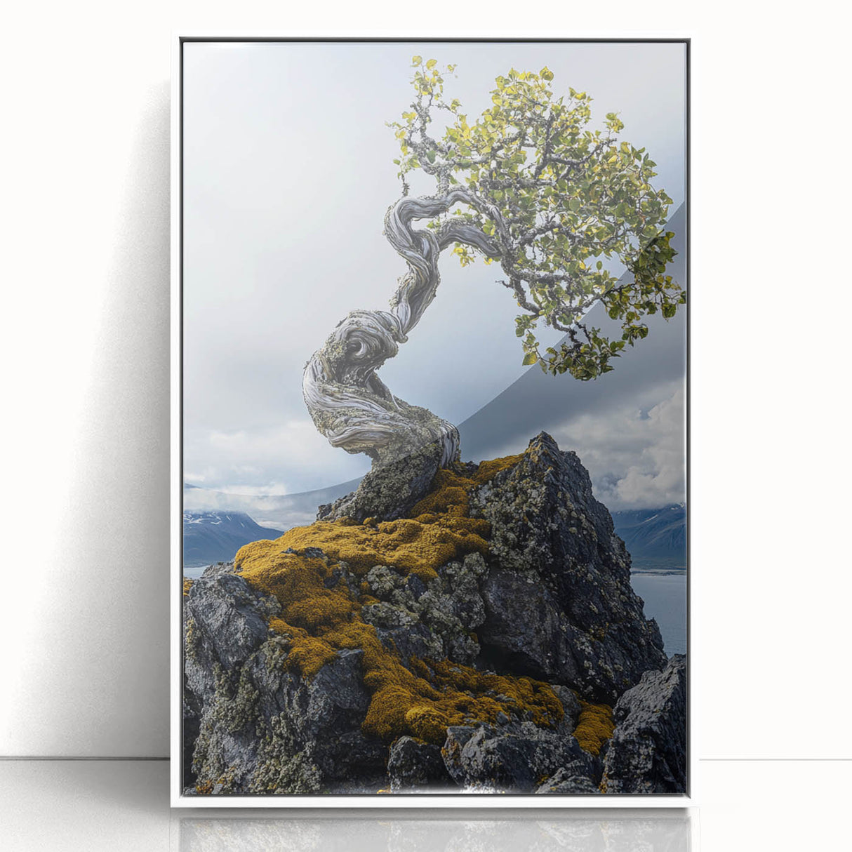 Resilient Bonsai Tree – Forest Art Prints & Nature Wall Art
