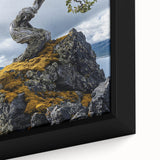 Resilient Bonsai Tree – Forest Art Prints & Nature Wall Art