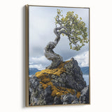 Resilient Bonsai Tree – Forest Art Prints & Nature Wall Art