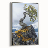 Resilient Bonsai Tree – Forest Art Prints & Nature Wall Art