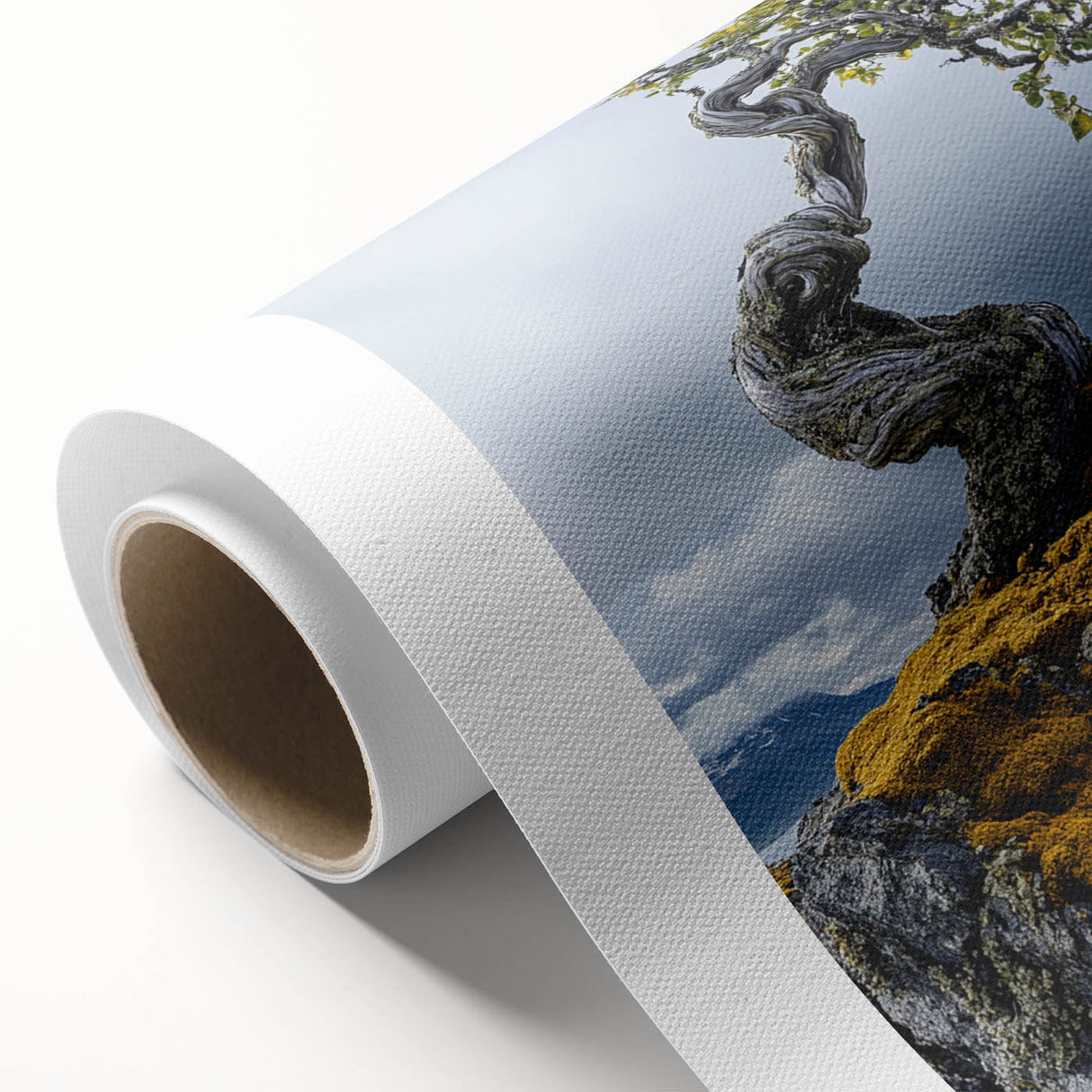 Resilient Bonsai Tree – Forest Art Prints & Nature Wall Art