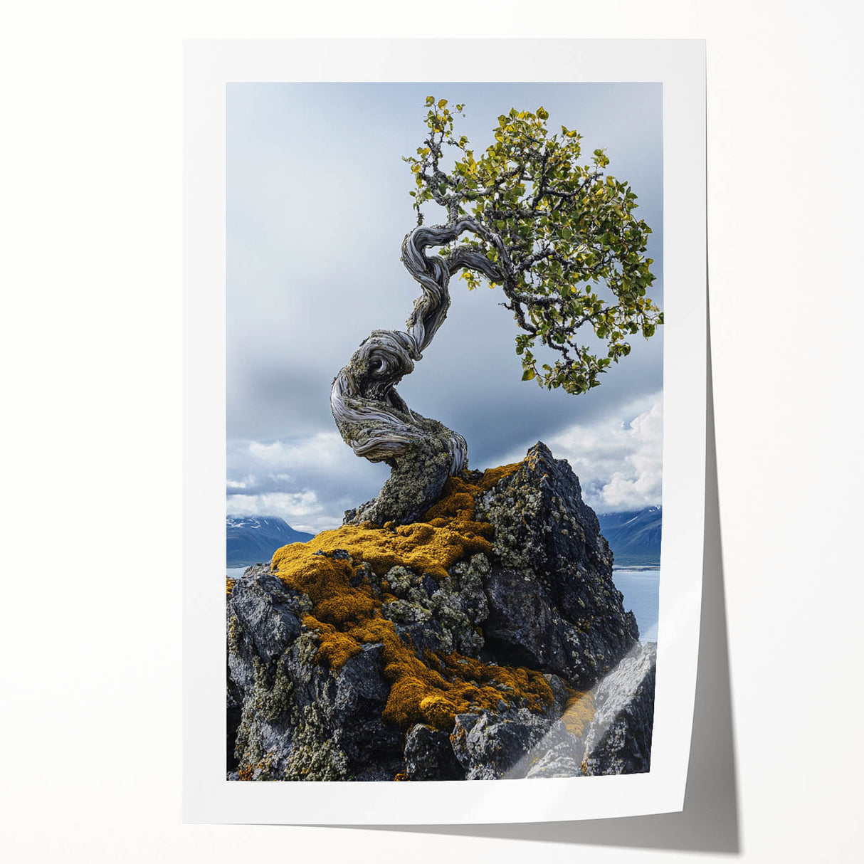 Resilient Bonsai Tree – Forest Art Prints & Nature Wall Art