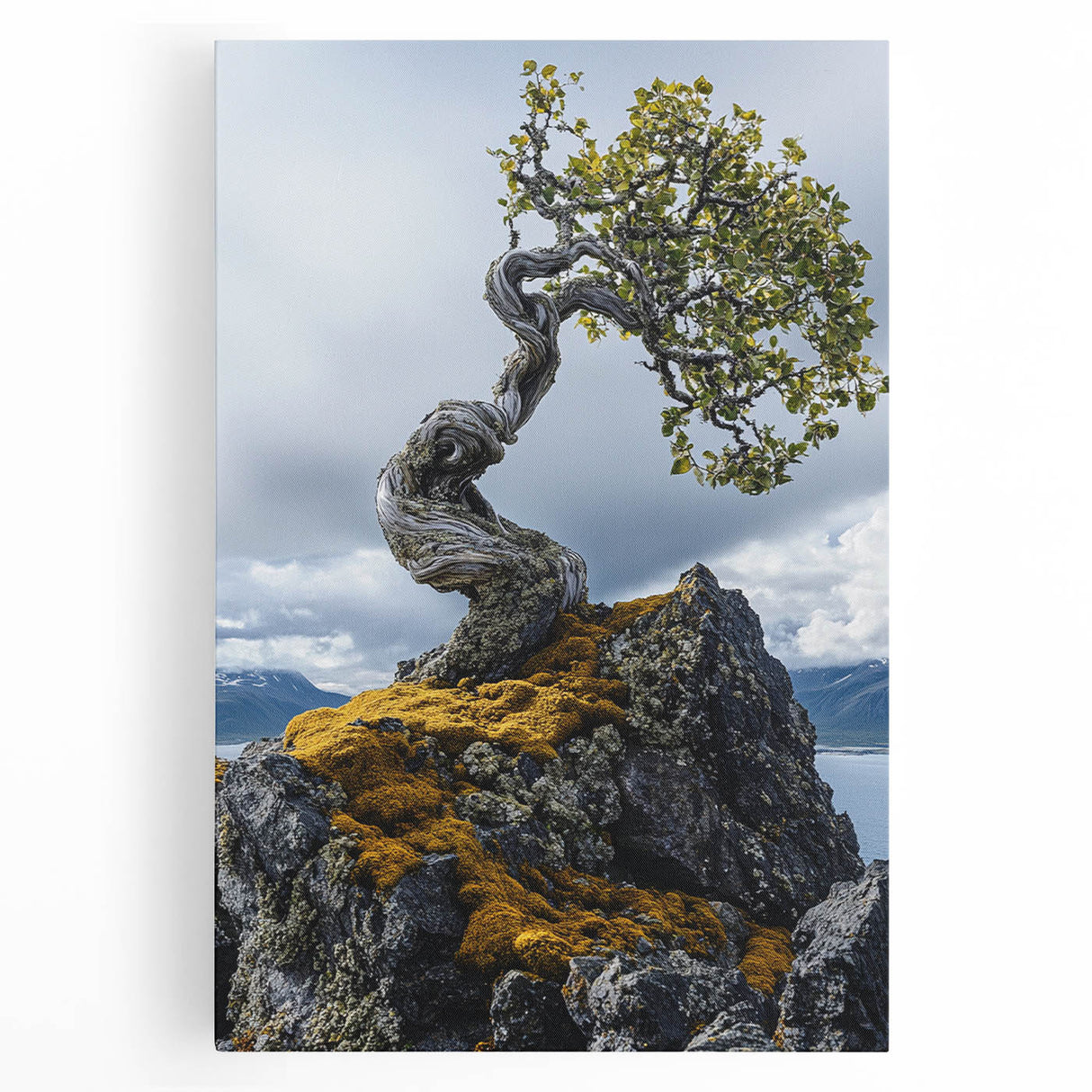 Resilient Bonsai Tree – Forest Art Prints & Nature Wall Art