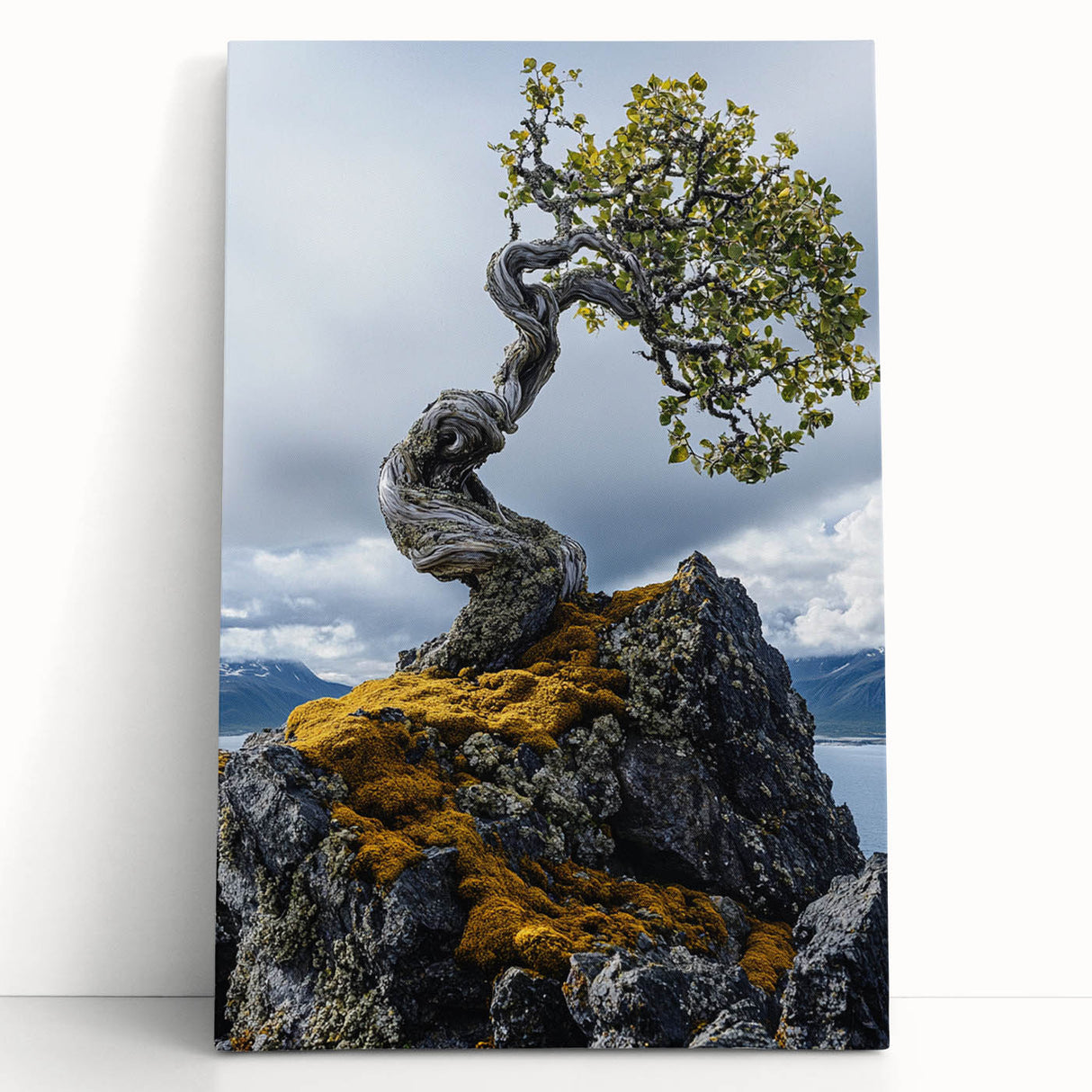 Resilient Bonsai Tree – Forest Art Prints & Nature Wall Art