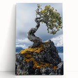 Resilient Bonsai Tree – Forest Art Prints & Nature Wall Art