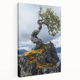 Resilient Bonsai Tree – Forest Art Prints & Nature Wall Art