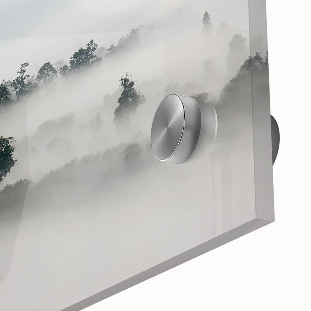 Mystical Foggy Forest - Fine Art Photography Wall Decor