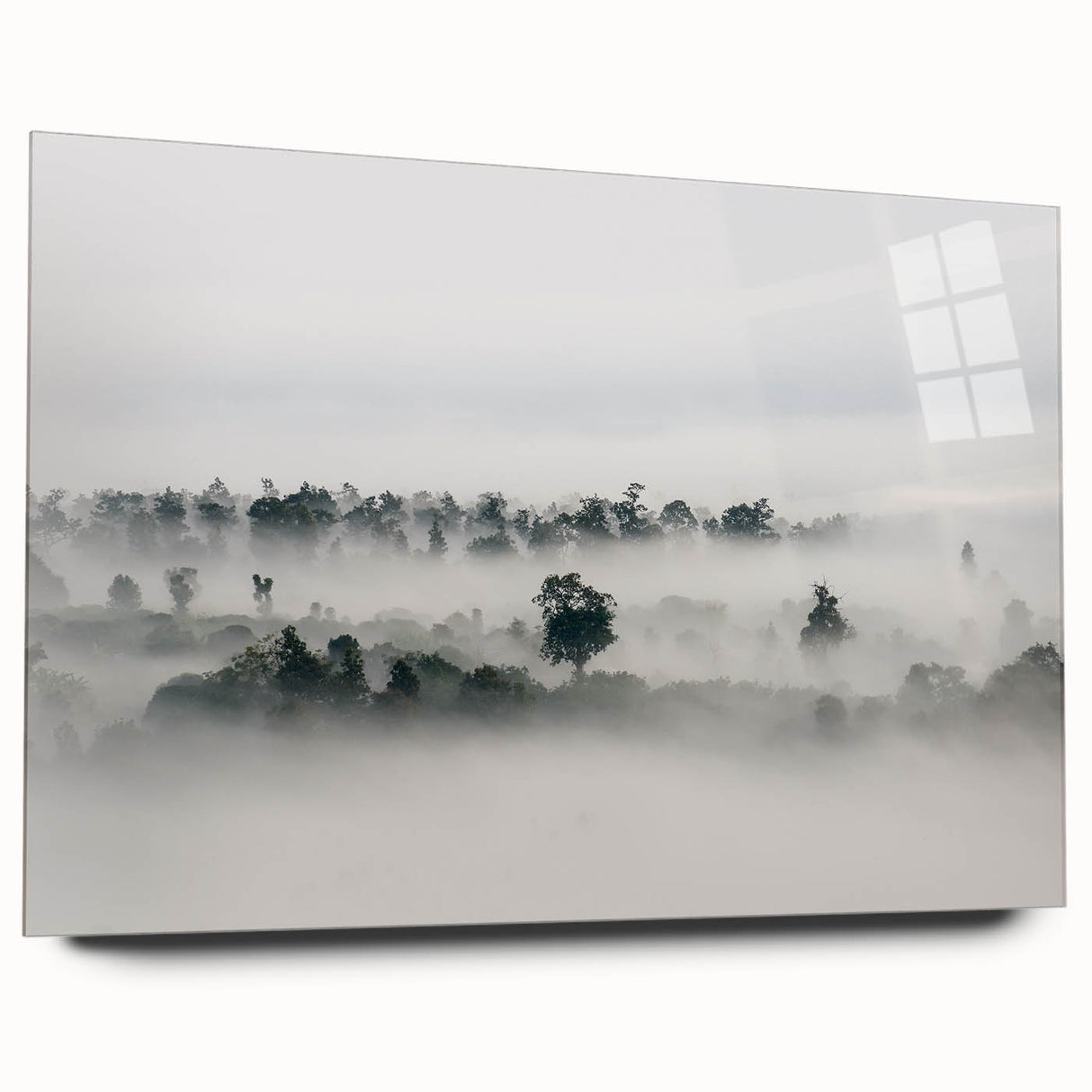 Mystical Foggy Forest - Fine Art Photography Wall Decor