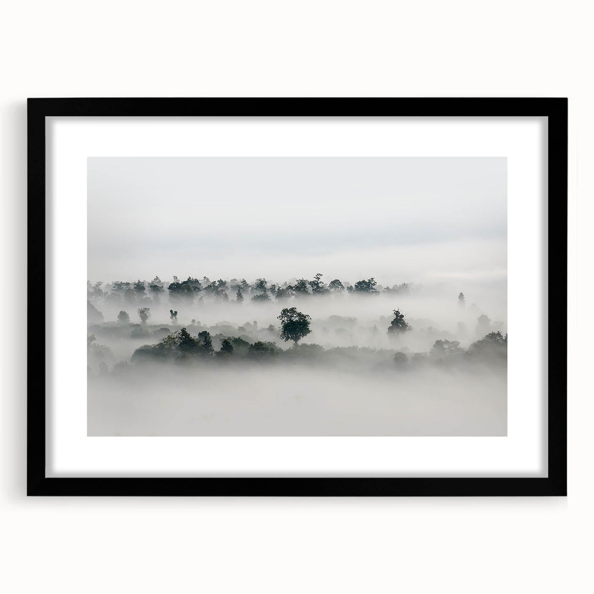 Mystical Foggy Forest - Fine Art Photography Wall Decor