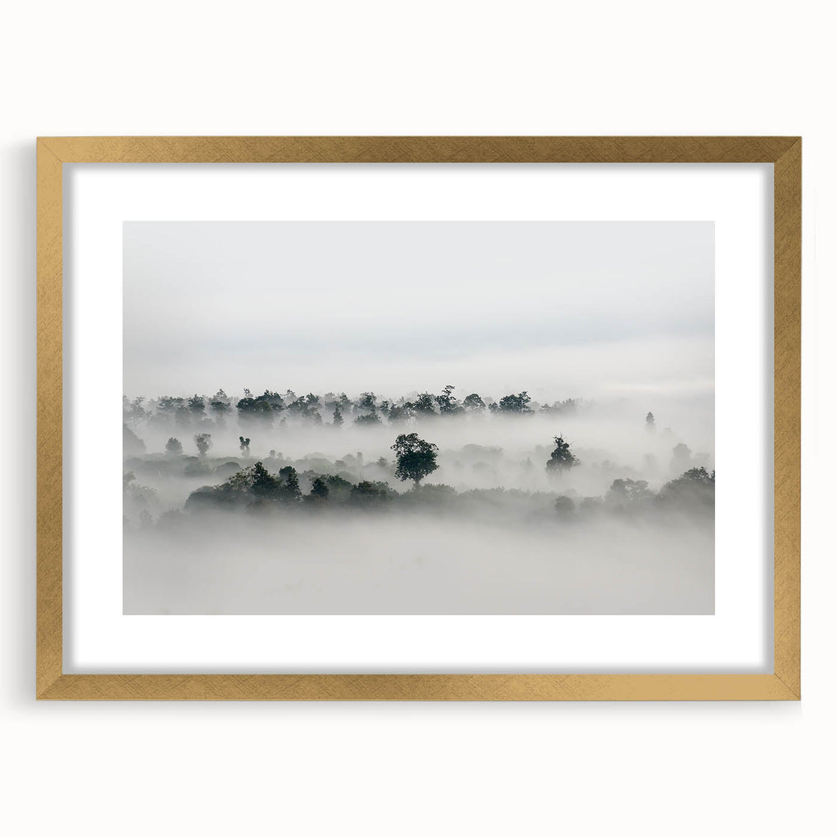 Mystical Foggy Forest - Fine Art Photography Wall Decor