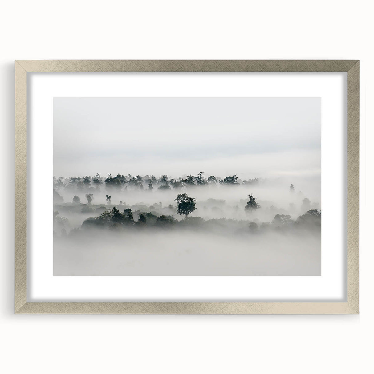 Mystical Foggy Forest - Fine Art Photography Wall Decor