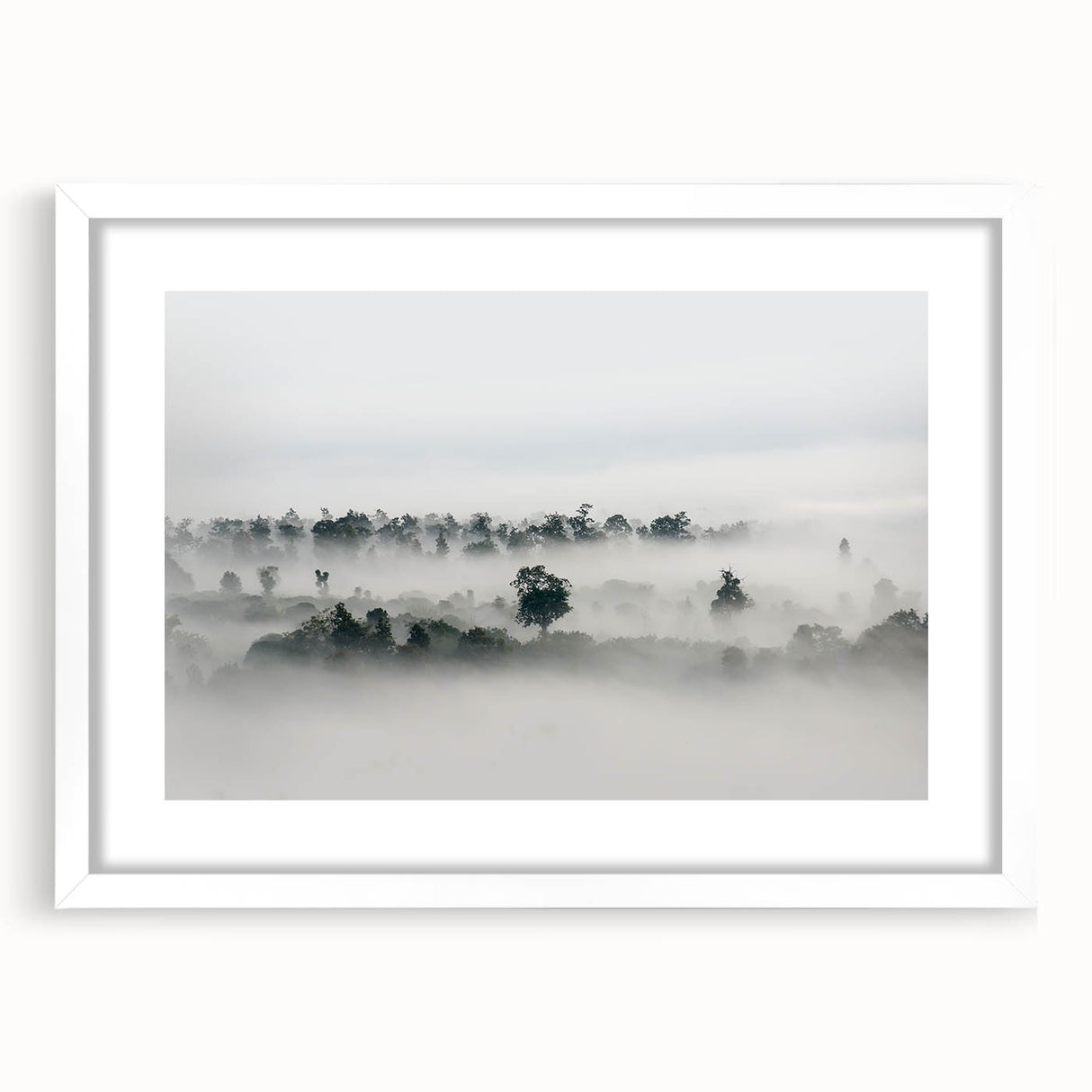 Mystical Foggy Forest - Fine Art Photography Wall Decor