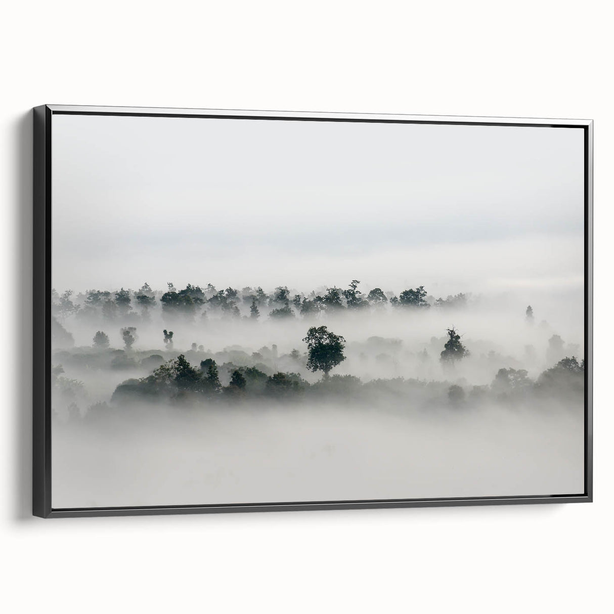 Mystical Foggy Forest - Fine Art Photography Wall Decor
