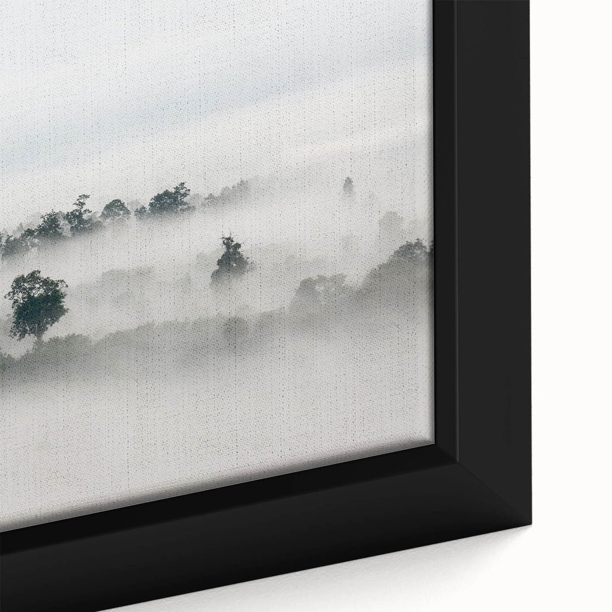 Mystical Foggy Forest - Fine Art Photography Wall Decor