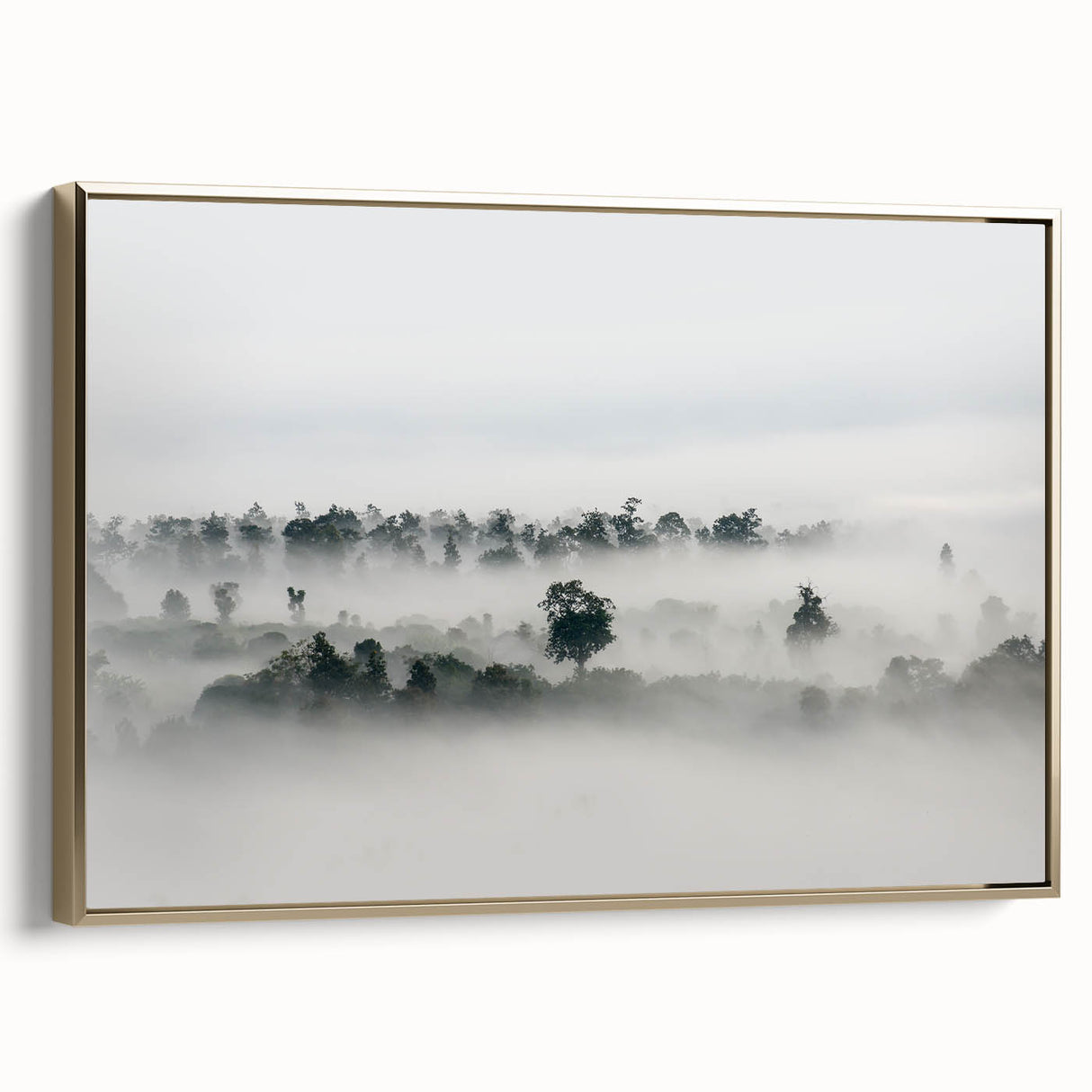 Mystical Foggy Forest - Fine Art Photography Wall Decor