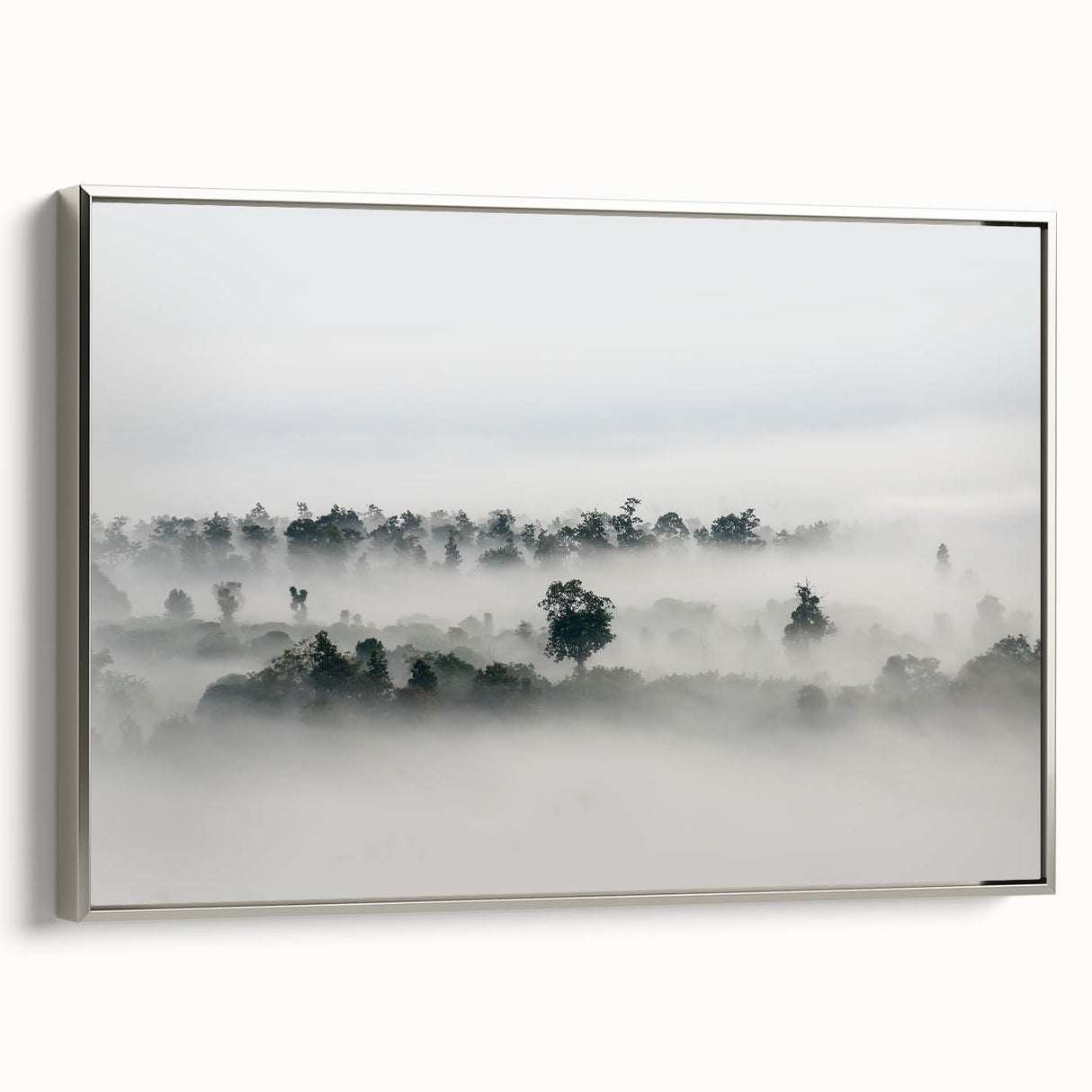 Mystical Foggy Forest - Fine Art Photography Wall Decor