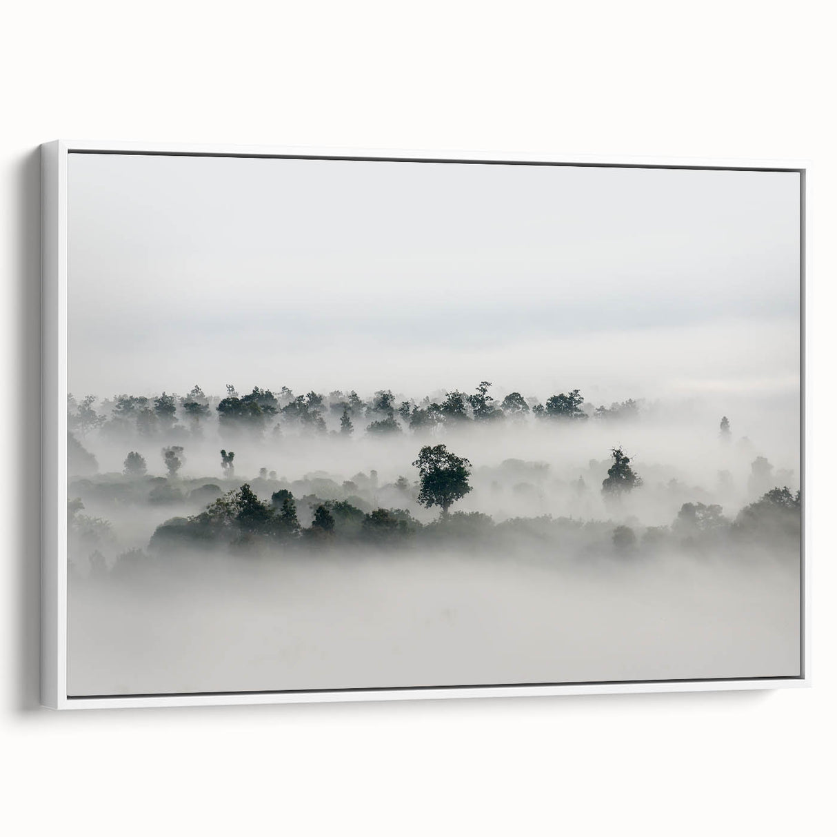 Mystical Foggy Forest - Fine Art Photography Wall Decor