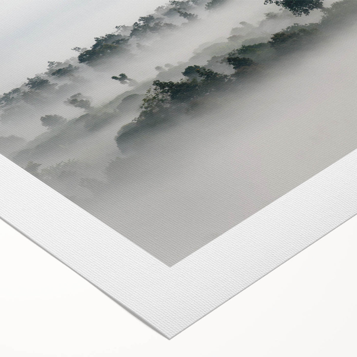 Mystical Foggy Forest - Fine Art Photography Wall Decor