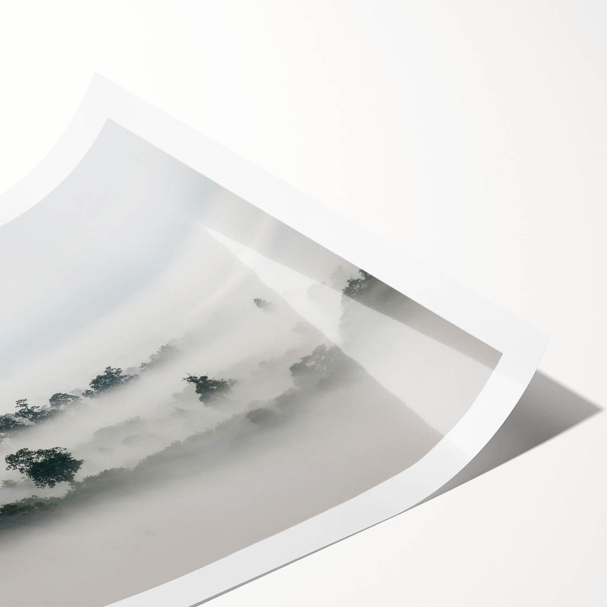 Mystical Foggy Forest - Fine Art Photography Wall Decor