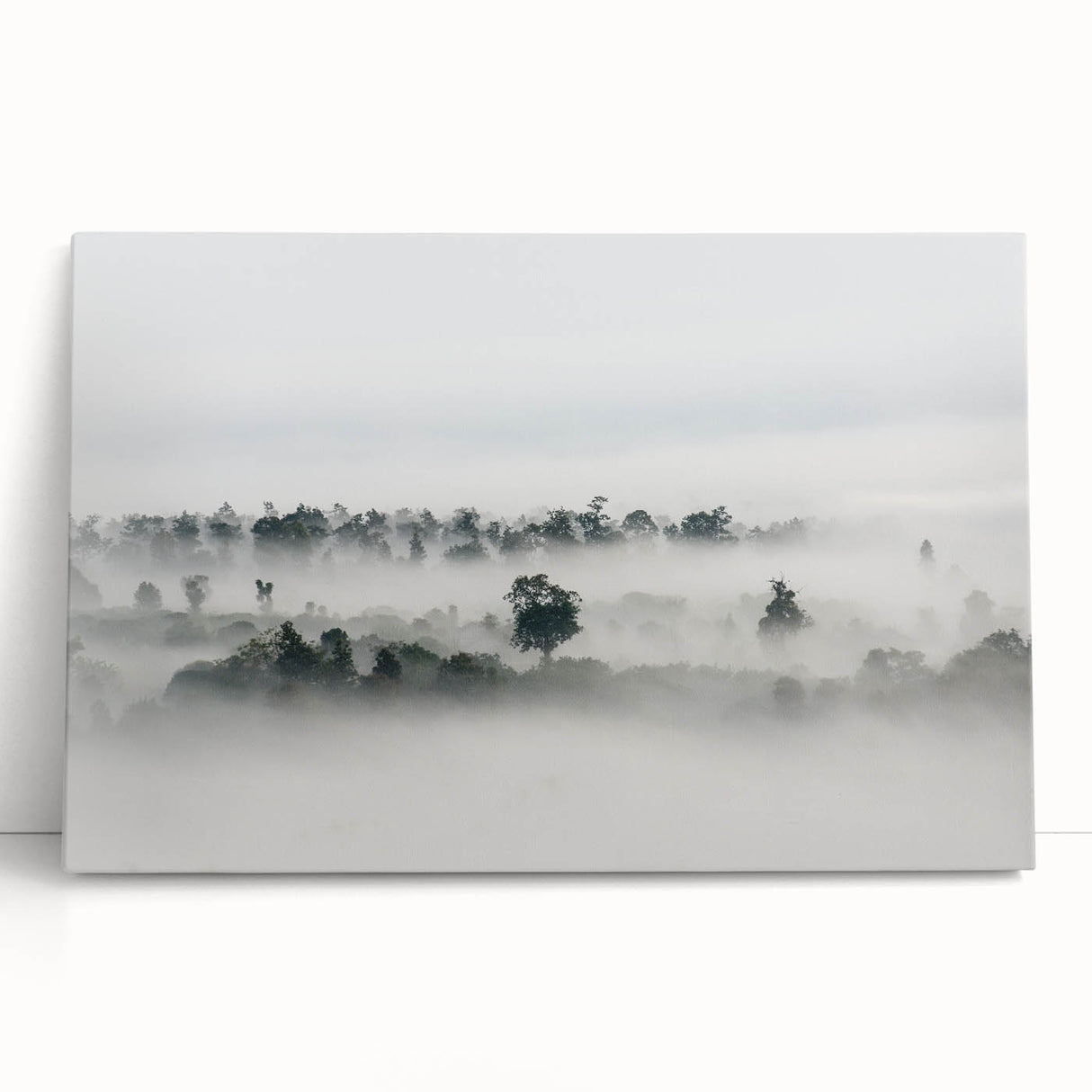 Mystical Foggy Forest - Fine Art Photography Wall Decor