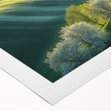 Rolling Green Hills & Blossoming Trees – Nature Art Prints